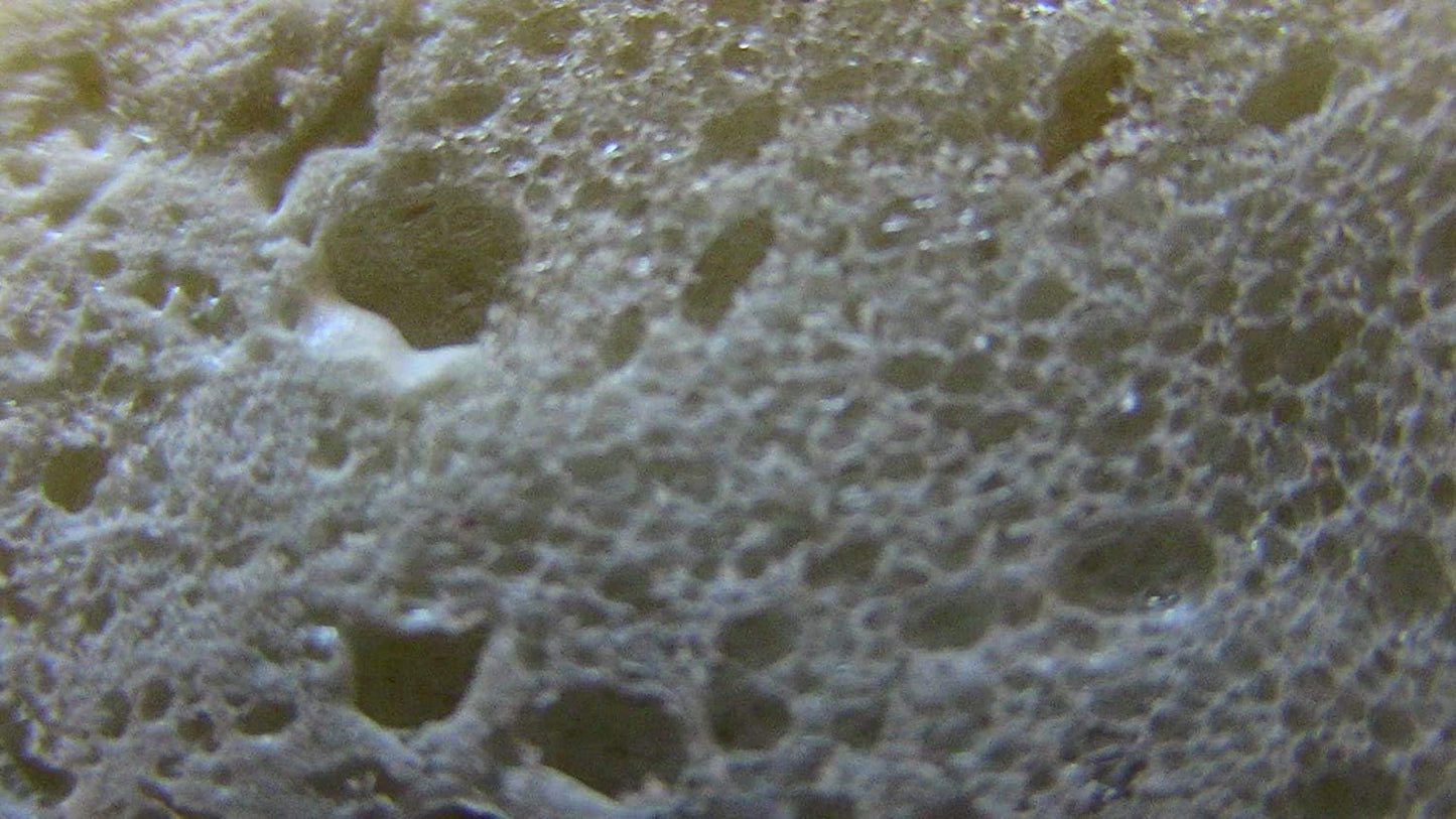 Red Devil Foam & Fill Large Gaps & Cracks 0909 - 12oz / 340g