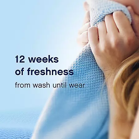 Downy Cool Cotton In- Wash Scent Booster 1.06 kg (37.5 oz)