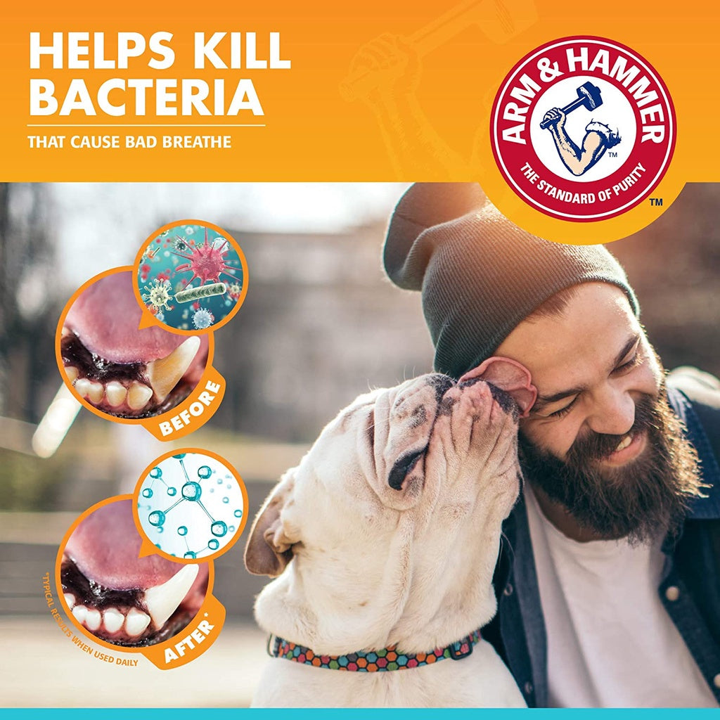 Arm & Hammer Fresh Breath Enzymatic Toothpaste for Dogs, Vanilla Ginger Flavor, 2.5 oz. / 67.5 g