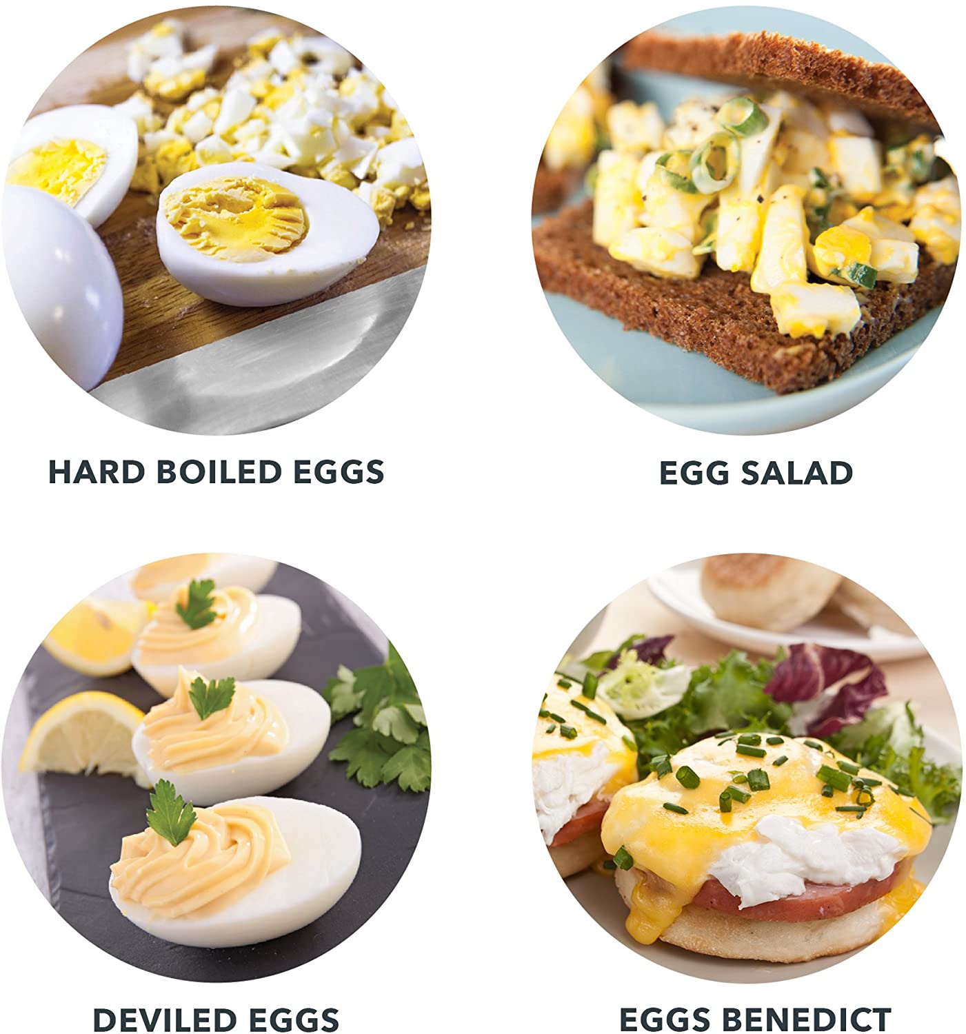 DASH Rapid 6 Capacity Electric Cooker for Hard Boiled, Poached, Scrambled Eggs, or Omelets with Auto Shut Off Feature, One Size, Black