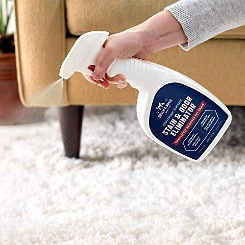 Rocco & Roxie Professional Strength Stain & Odor Eliminator Enzyme-Powered Pet Odor & Stain Remover for Dog and Cats Urine 32 fl. oz