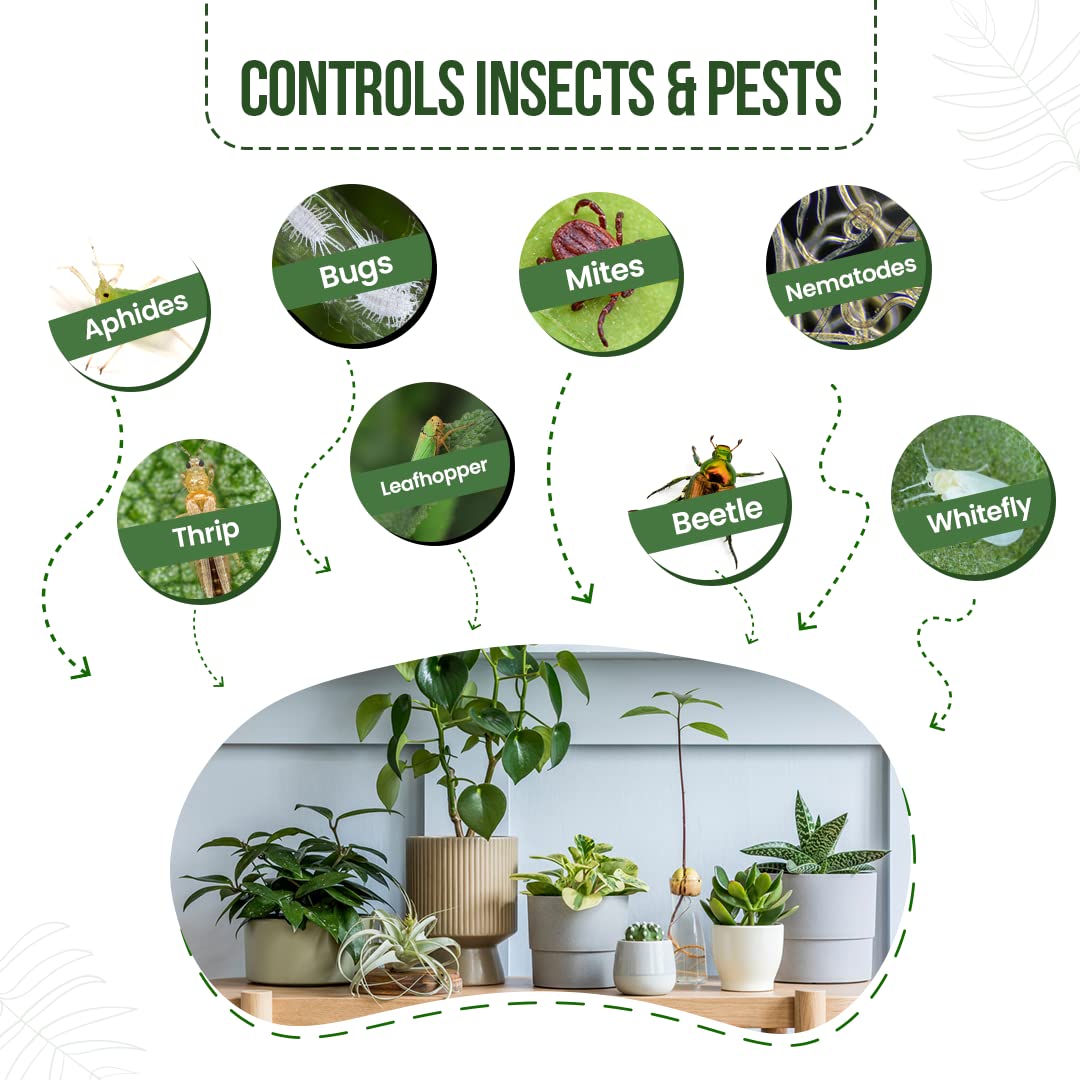 Natual Guard Neem Natural Insecticide Garden 423ml