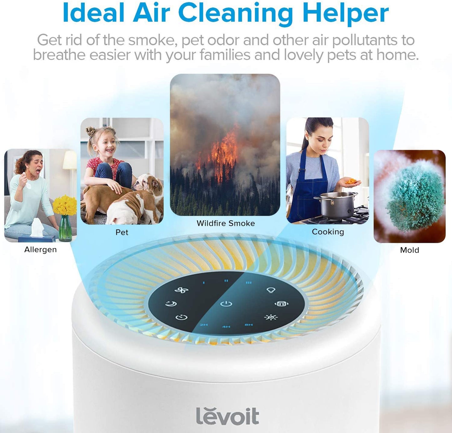 LEVOIT Air Purifier for Home Allergies and Pets Hair, H13 True HEPA Air Purifier Filter, Vista 200