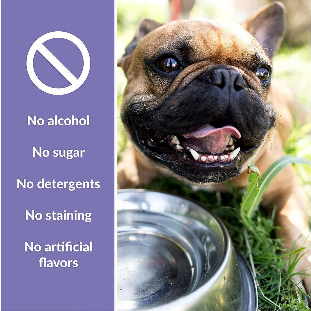 Dental Fresh Water Additive for Pets, Simply Add to Pet’s Water Bowl to Whiten Teeth, 17 oz.