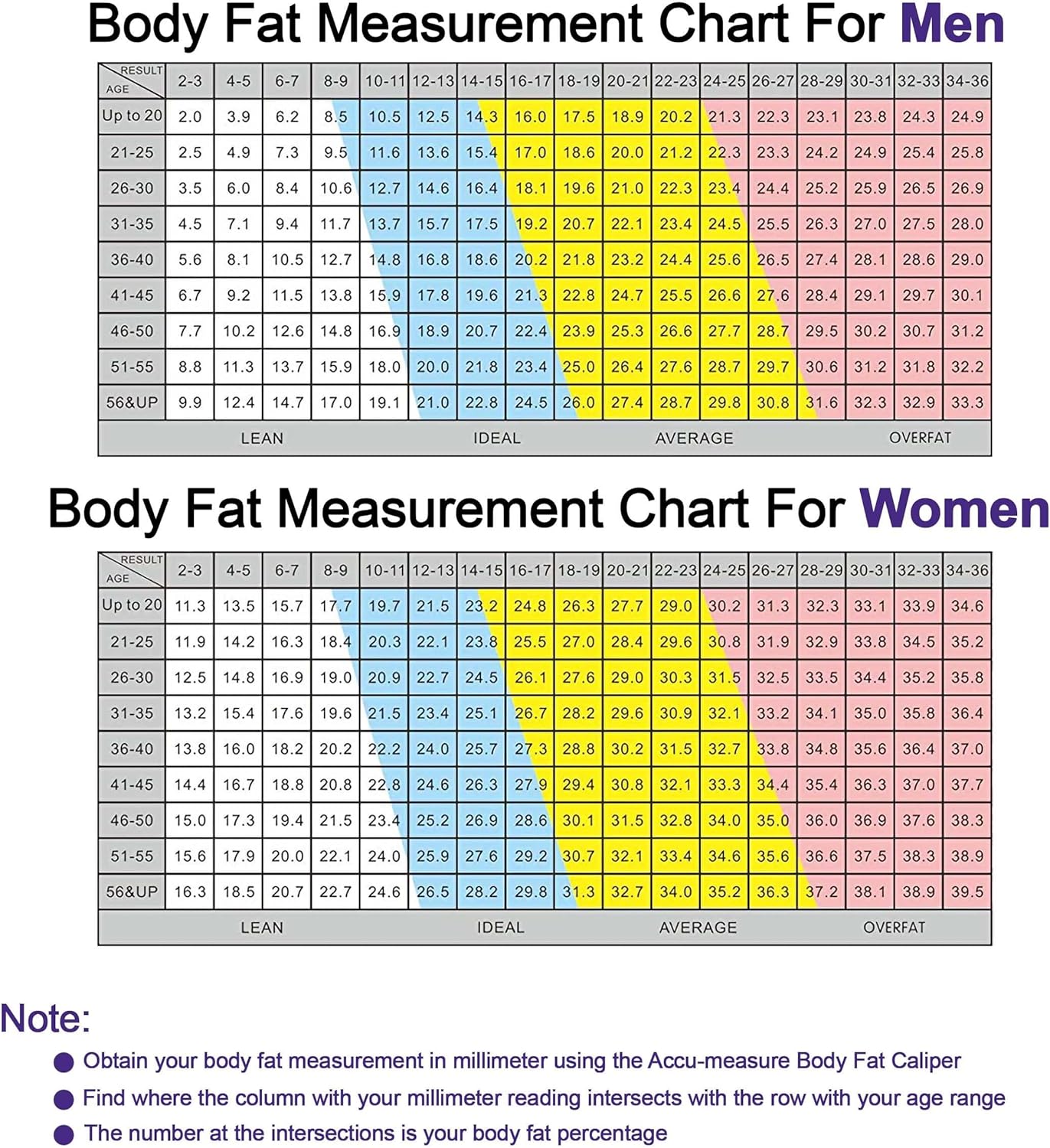 Accu Measure PersonalBody Fat Caliper Tester