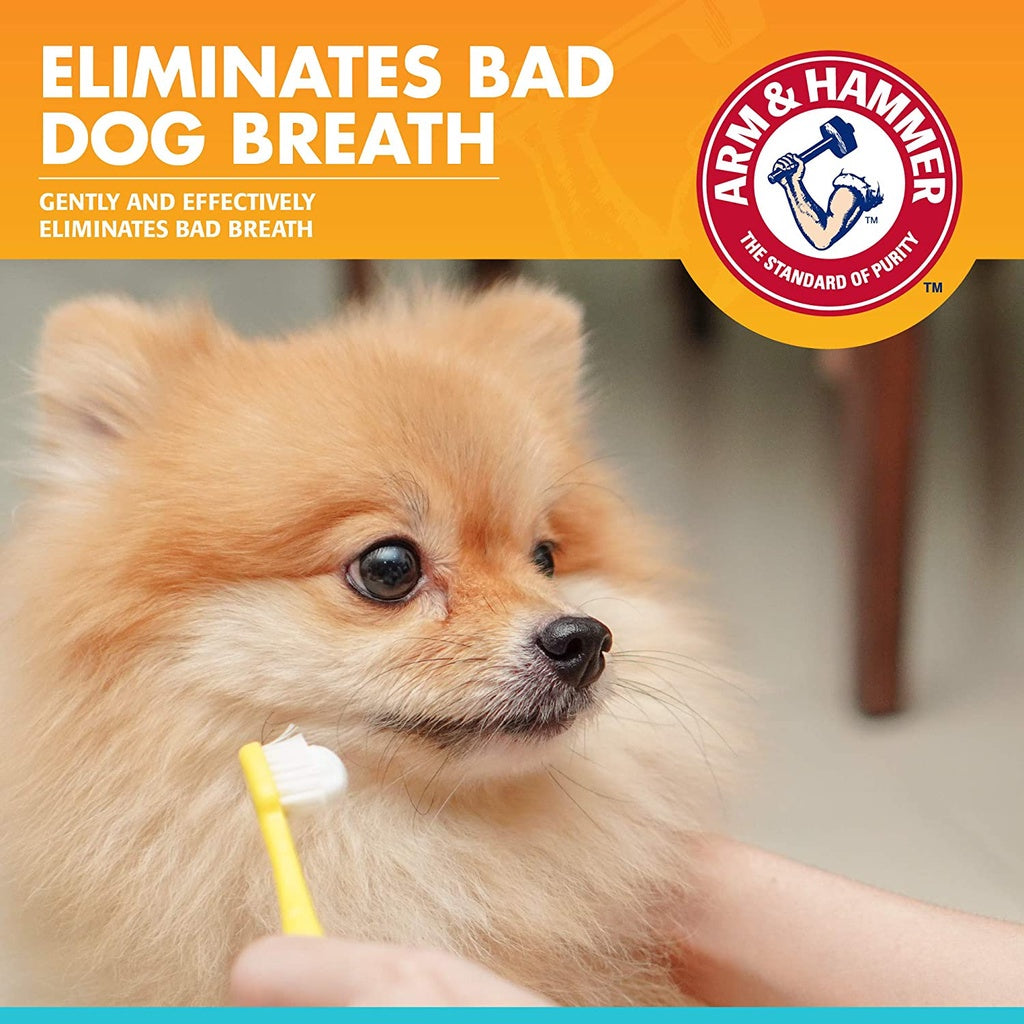 Arm & Hammer Fresh Breath Enzymatic Toothpaste for Dogs, Vanilla Ginger Flavor, 2.5 oz. / 67.5 g