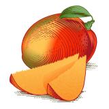 Burt's Bees Moisturizing Lip Balm (Mango)