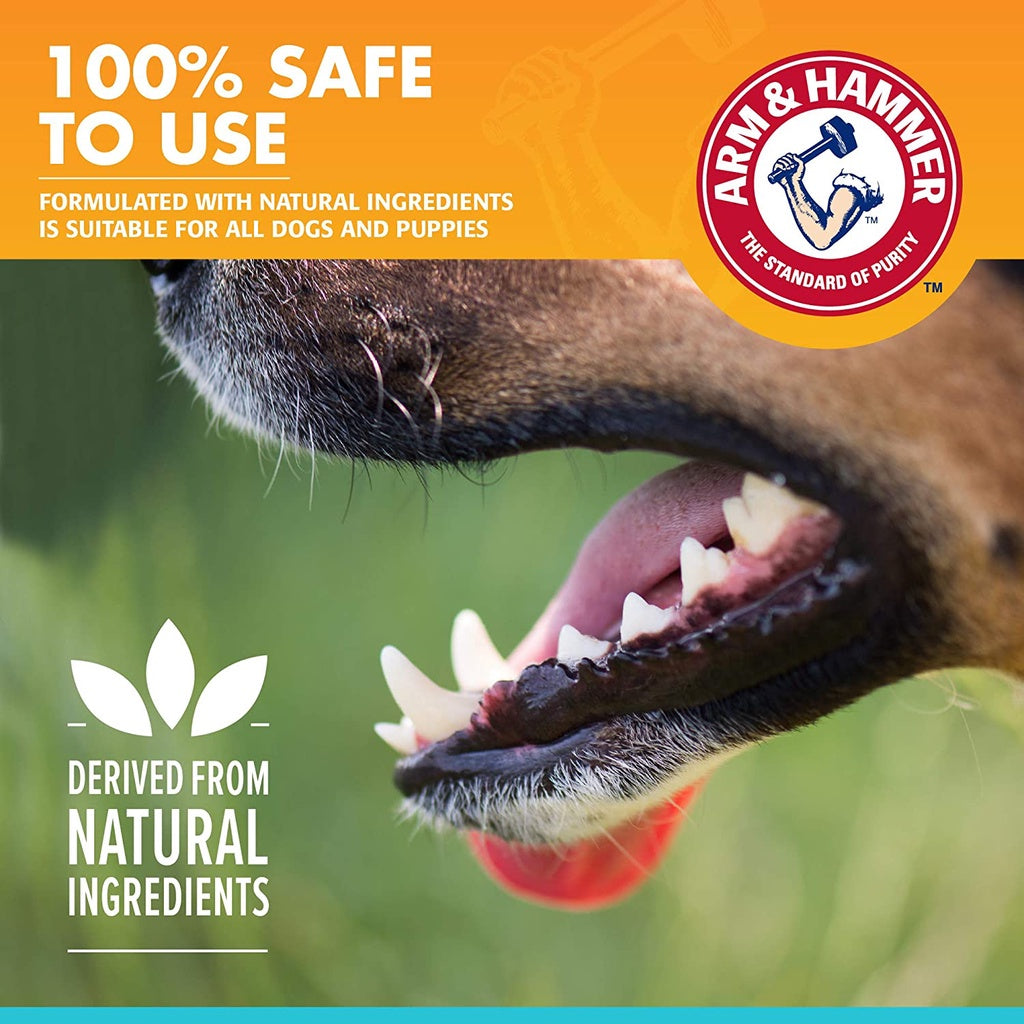 Arm & Hammer Fresh Breath Enzymatic Toothpaste for Dogs, Vanilla Ginger Flavor, 2.5 oz. / 67.5 g