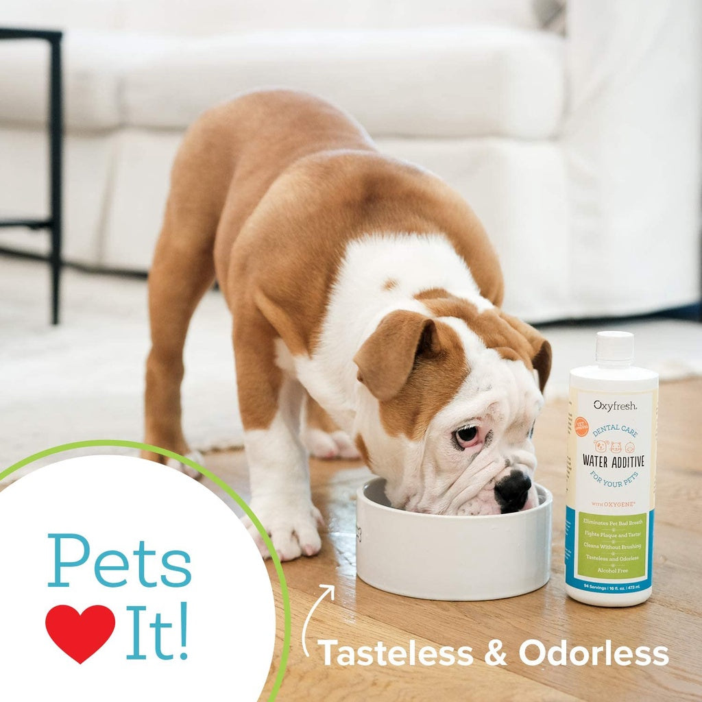 Oxyfresh Premium Pet Dental Care Solution Water Additive, 16 fl.oz / 473 ml