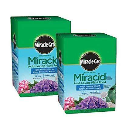 Miracle Gro Miracid Plant Food 453g