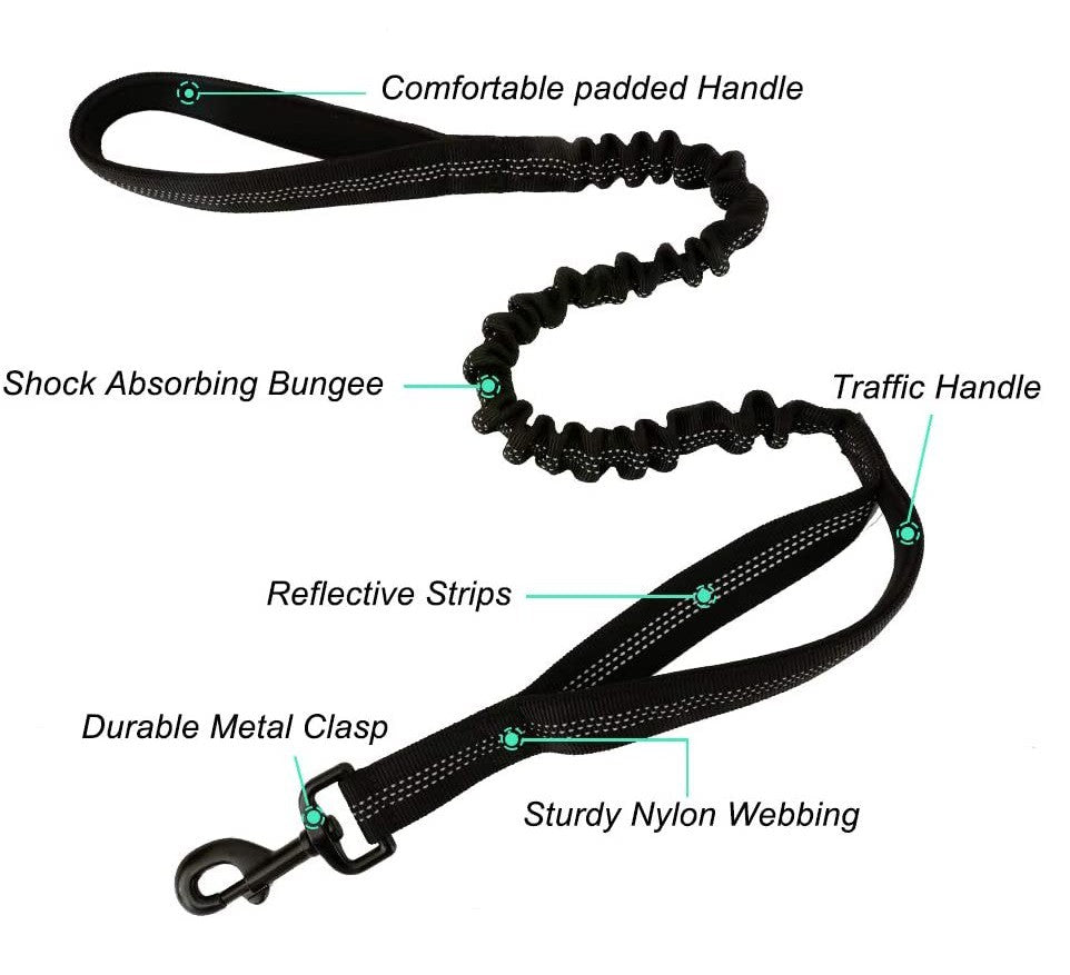 Rabbitgoo Tactical Bungee Dog Leash, 37 inches to 49 inches long for Small Medium Dogs, Black