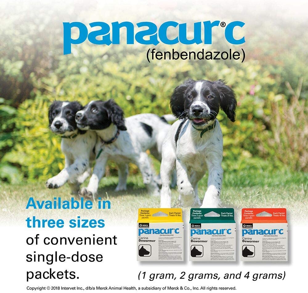 Panacur C Canine Dewormer for Dogs Only 40 lbs. 3 Packets
