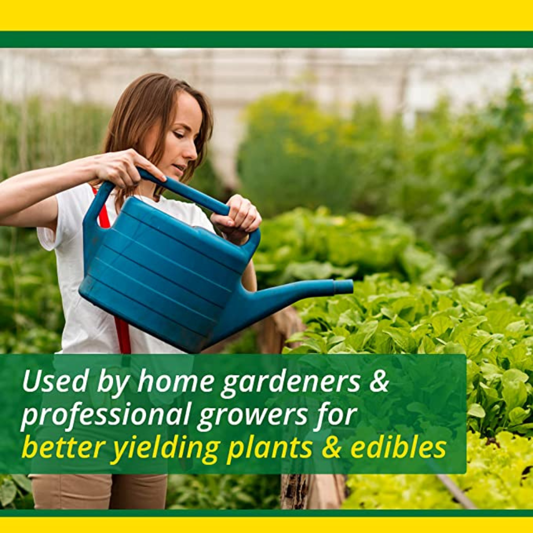 SUPERthrive Plant Food For All Plants Suitable For Organic Gardening Rich Source Of Nutrients 907.2g
