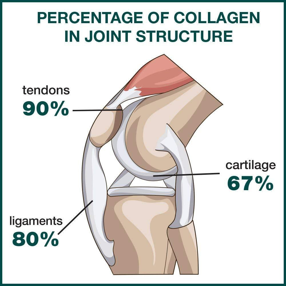 Genacol AminoLock Collagen, Original Formula 90 Capsules