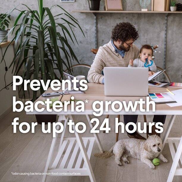 Clorox Disinfecting Wipes Kills 99.9% of Viruses & Bacteria, Crisp Lemon, 35 Wipes (9.1 oz. / 258g)