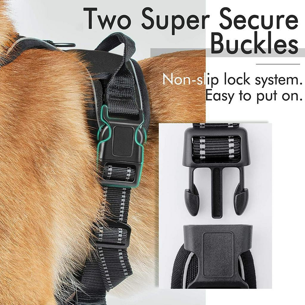 rabbitgoo Dog Harness with 2 Leash Clips, Adjustable Soft Padded Vest, Easy Control Handle, Black, S