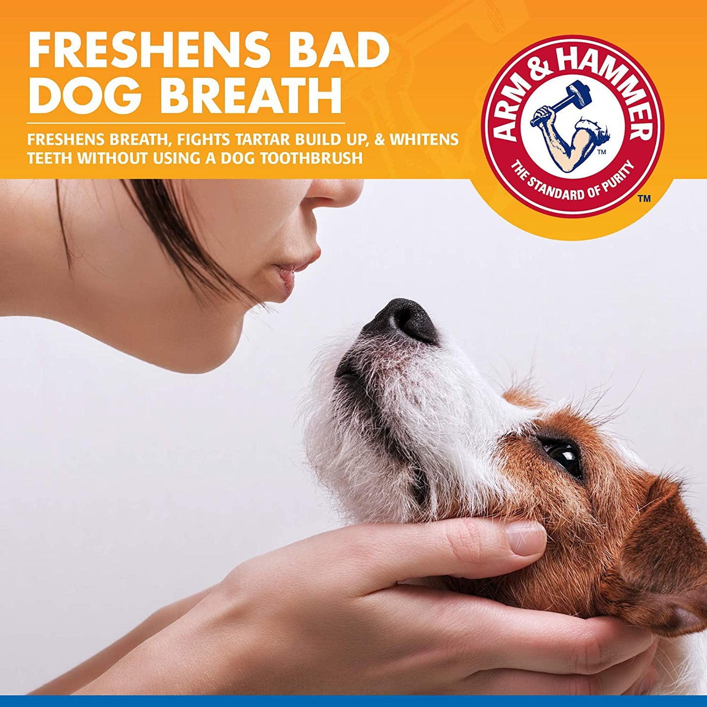 Arm & Hammer for Pets Dog Dental Spray Reduces Plaque & Tartar Buildup Mint Flavor, 4 oz