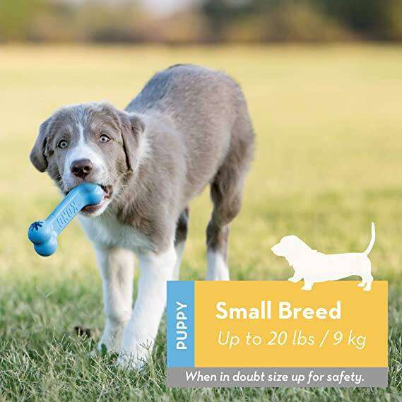 KONG Goodie Bone Soothes Gum Fun To Chew Rubber Teething Toy X Petit Puppy (BLUE) Small / X