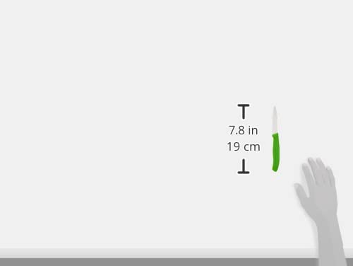 Victorinox 4-Piece Set of Swiss Classic Paring Knives with Straight 3.25 Inch