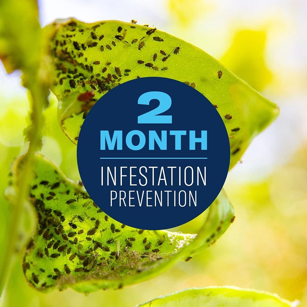 Bio Advanced Fruit Citrus & Vegetable Insect Control Season Long Protection Rainproof - 946ml