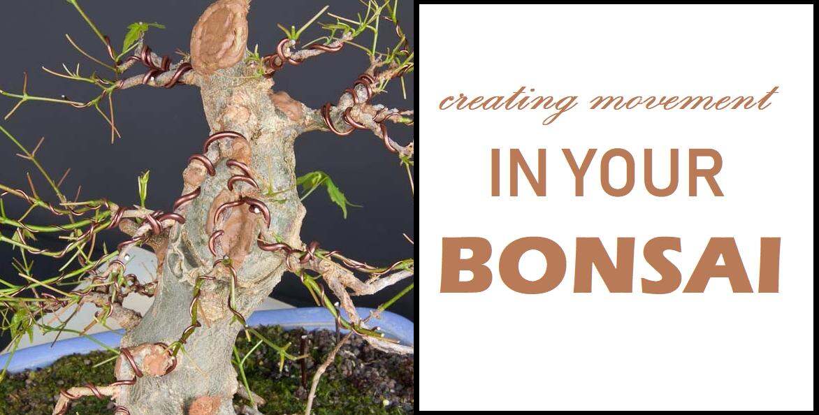 U-nitt Bonsai Tree Training Wires: 250-gram Roll: 1.0mm/387ft