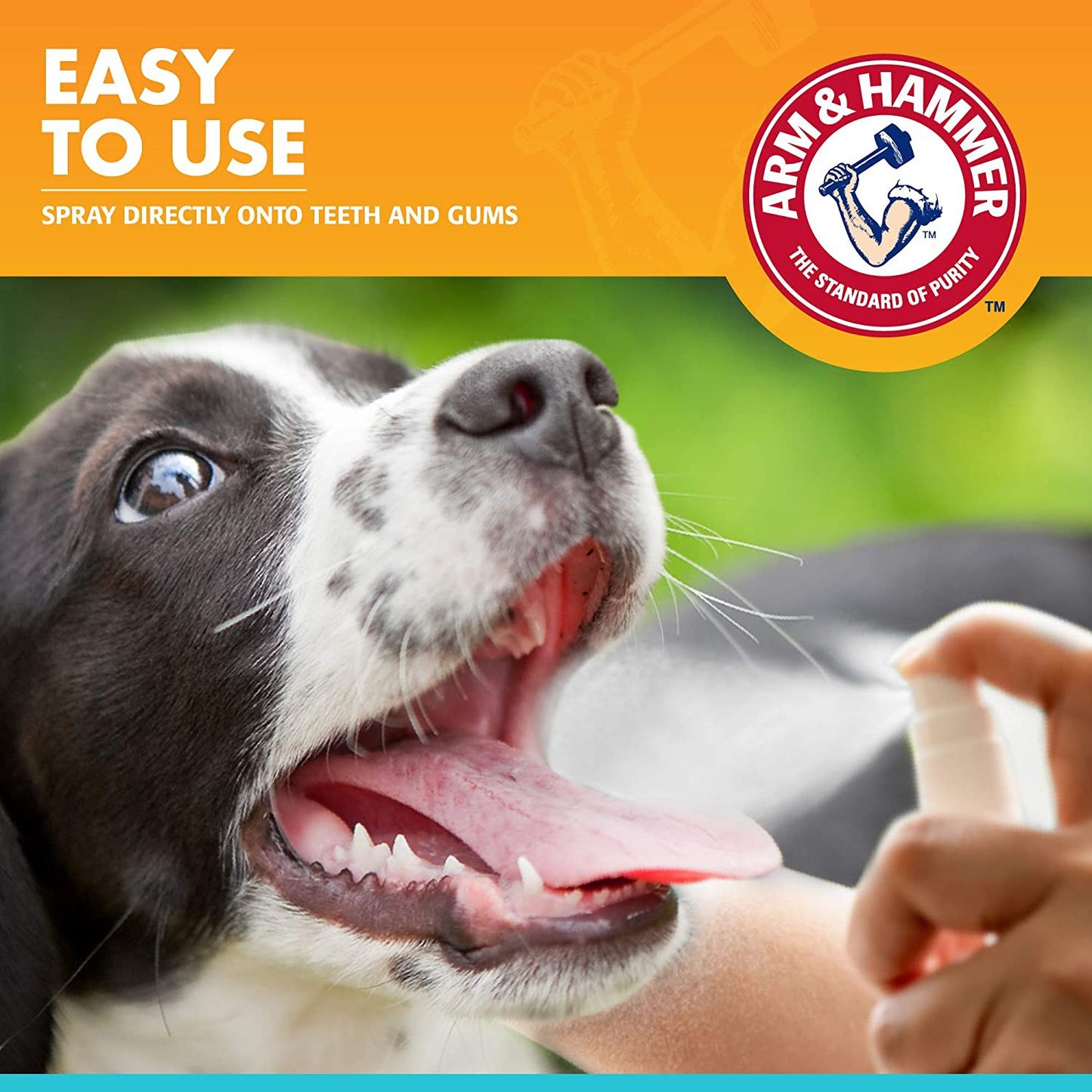 Arm & Hammer Advanced Care Dental Spray Fresh Breath and Whitening for Dogs, 4 fl. oz. 118 ml