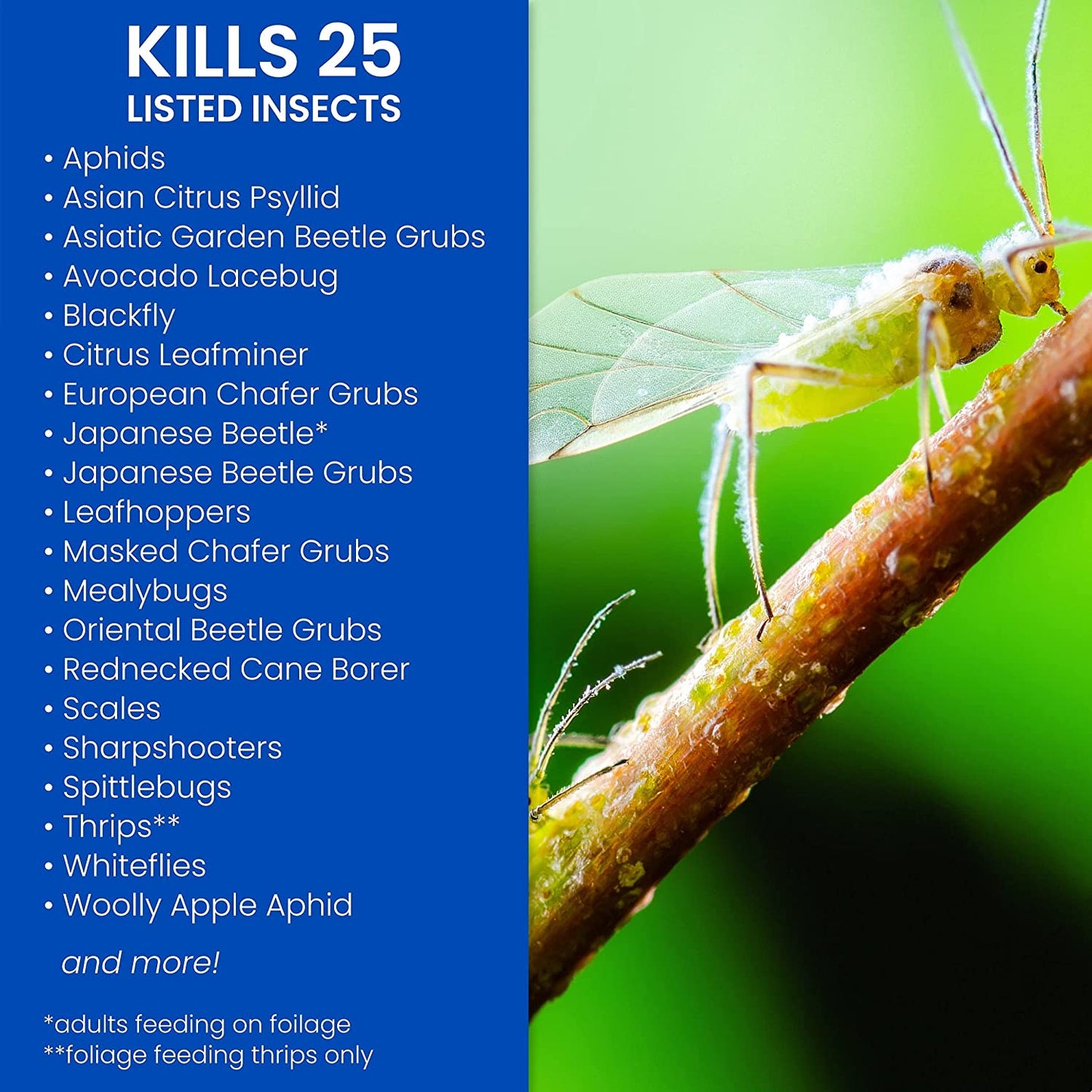 Bio Advanced Fruit Citrus & Vegetable Insect Control Season Long Protection Rainproof - 946ml