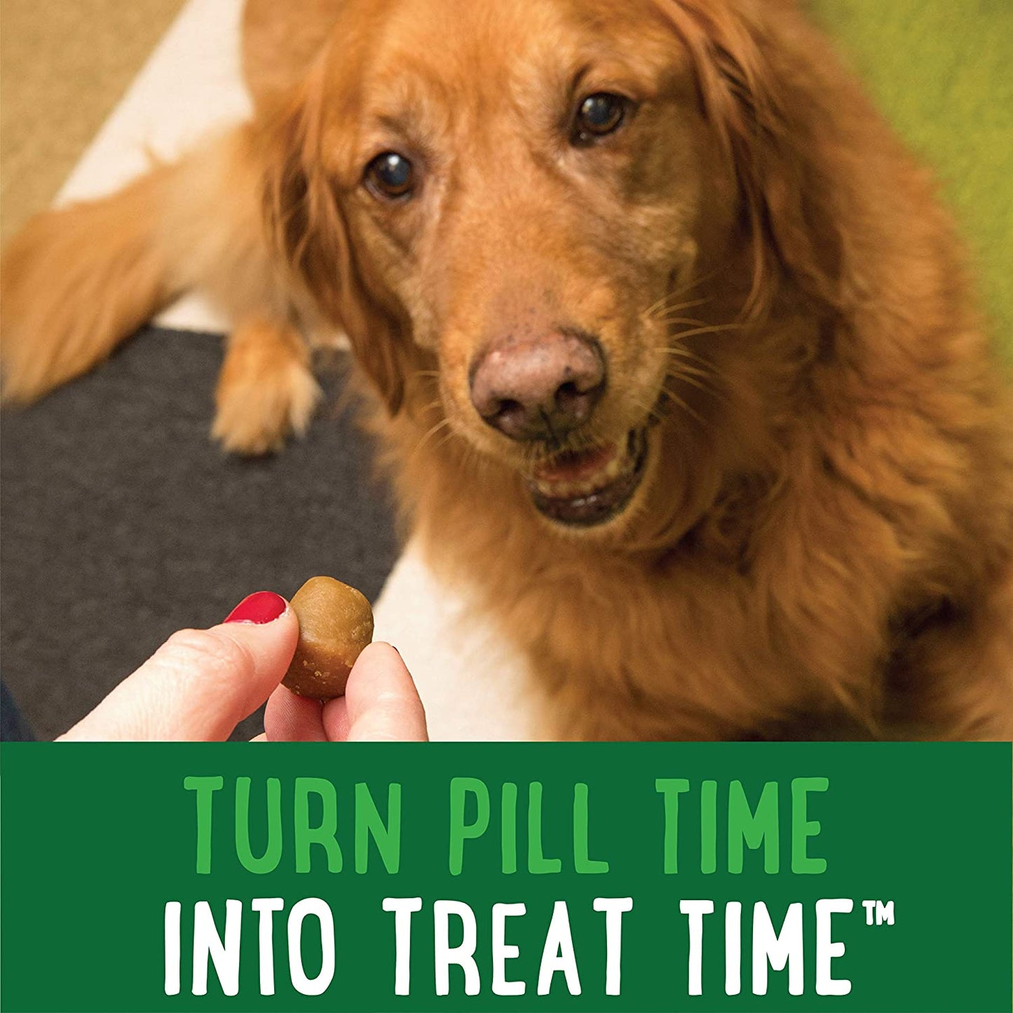 Greenies Pill Pockets Natural Dog Treats, Capsule Size, Chicken Flavor (60 Pcs)