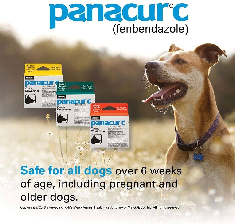 Panacur C Canine Dewormer for Dogs Only 40 lbs. 3 Packets