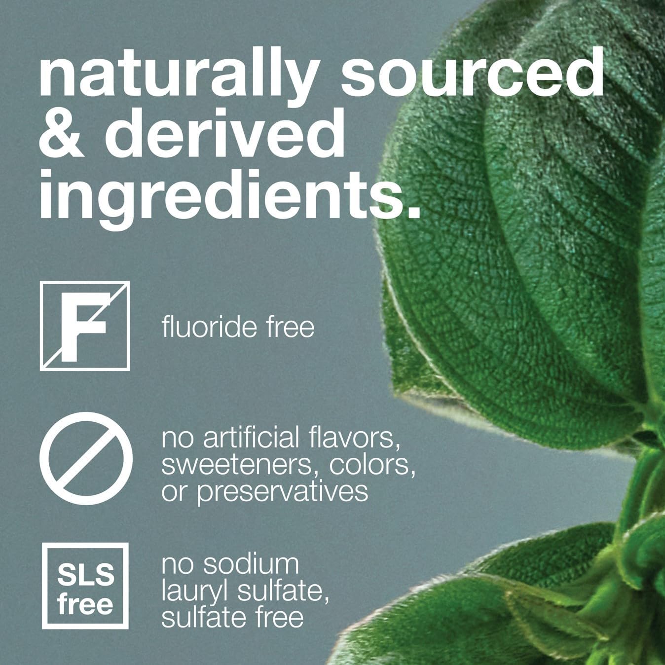 Davids Whitening, Antiplaque & Fresh Breath Premium Toothpaste, Natural Herbal Citrus Mint, 149 g / 5.25 oz.