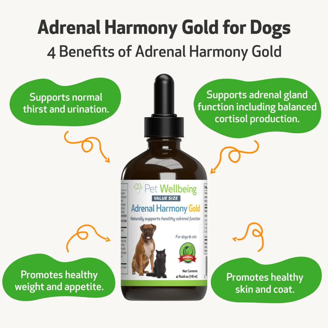 Pet Wellbeing Adrenal Harmony Gold Herbal for Dogs & Cats 59ml