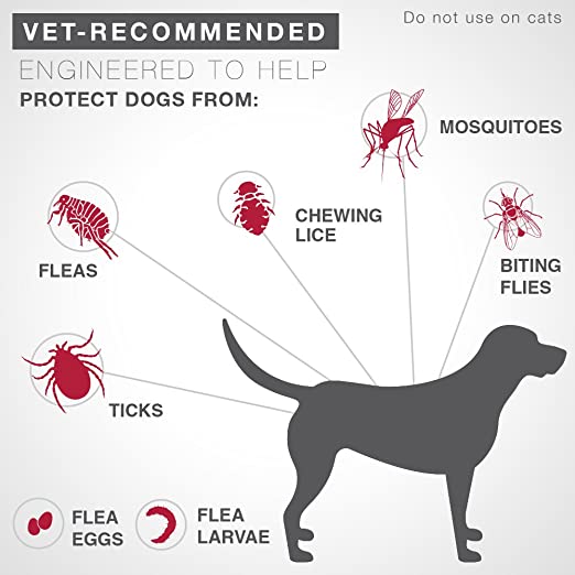 K9 Advantix II Flea and Tick Prevention for Large Dogs 21-55 lbs., 1 monthly dose NO BOX