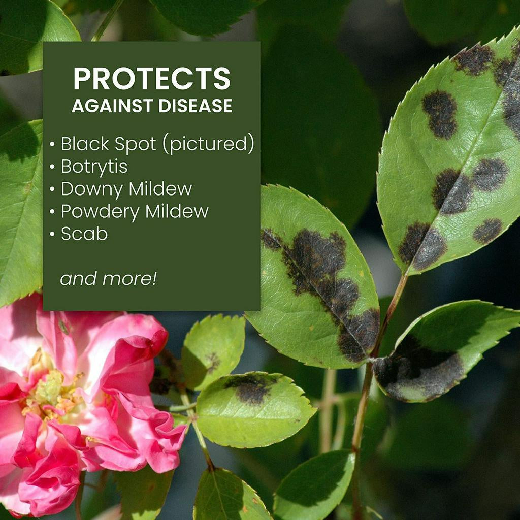 Natria Neem Oil Control Aphids White Flies & Spider Mites - 709ml