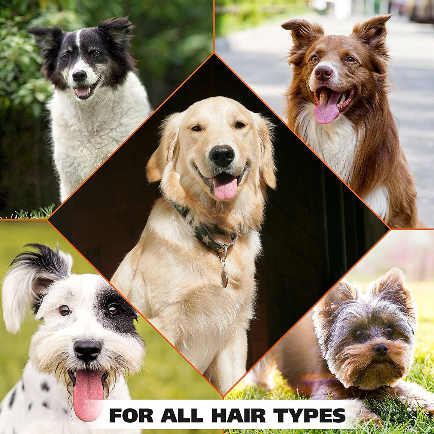 Wahl Doggie Deodorant, Deodorize and Refreshen Skin & Coat for All Dogs, 8 fl.oz / 236.59 ml