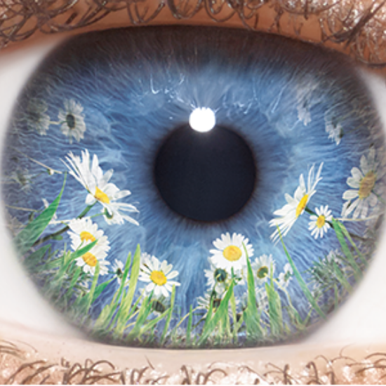 Systane Zaditor Eye Itch Relief Drops, 0.17 fl.oz / 5ml (PACKAGING MAY VARY)