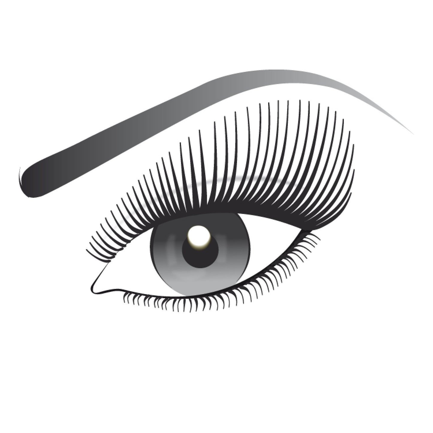 L'Oreal Paris Telescopic Original 905 Black Noir Mascara 8 mL