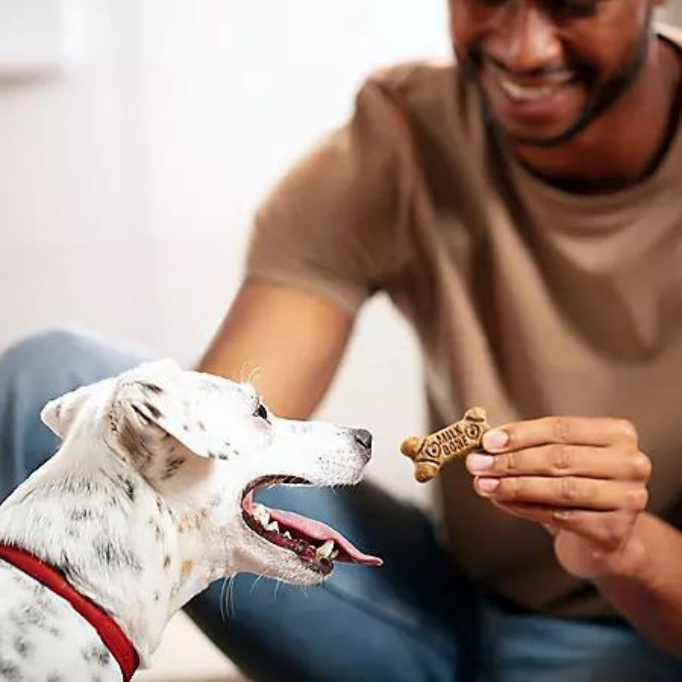 Milk Bone 5 Delicious Flavor Snacks for Dogs 1 lb