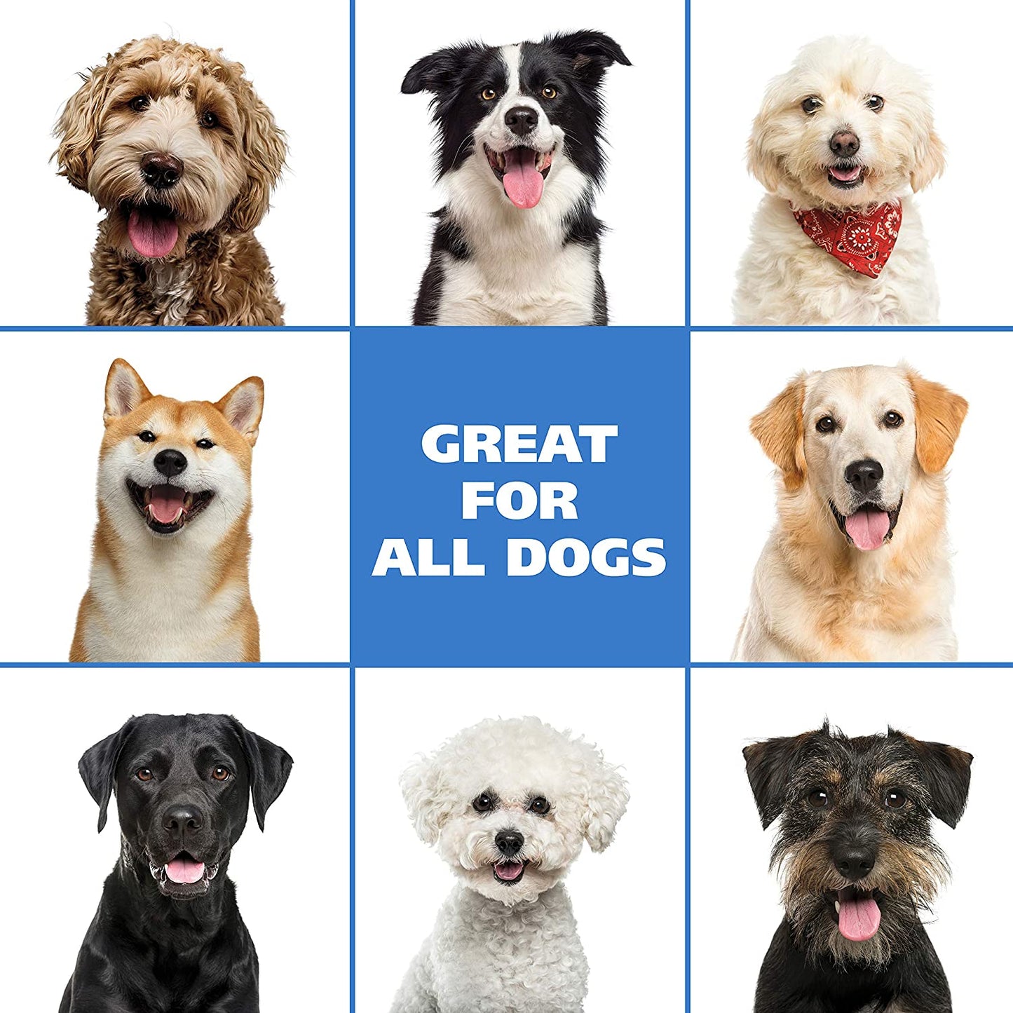 Wahl Waterless No-Rinse Shampoo in Coconut Lime Verbena with Oatmeal Formula, 7.10 fl.oz / 210 ml