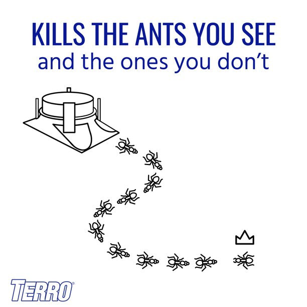 TERRO Outdoor Liquid Ant Baits 1 Fl Oz Each 4 Count