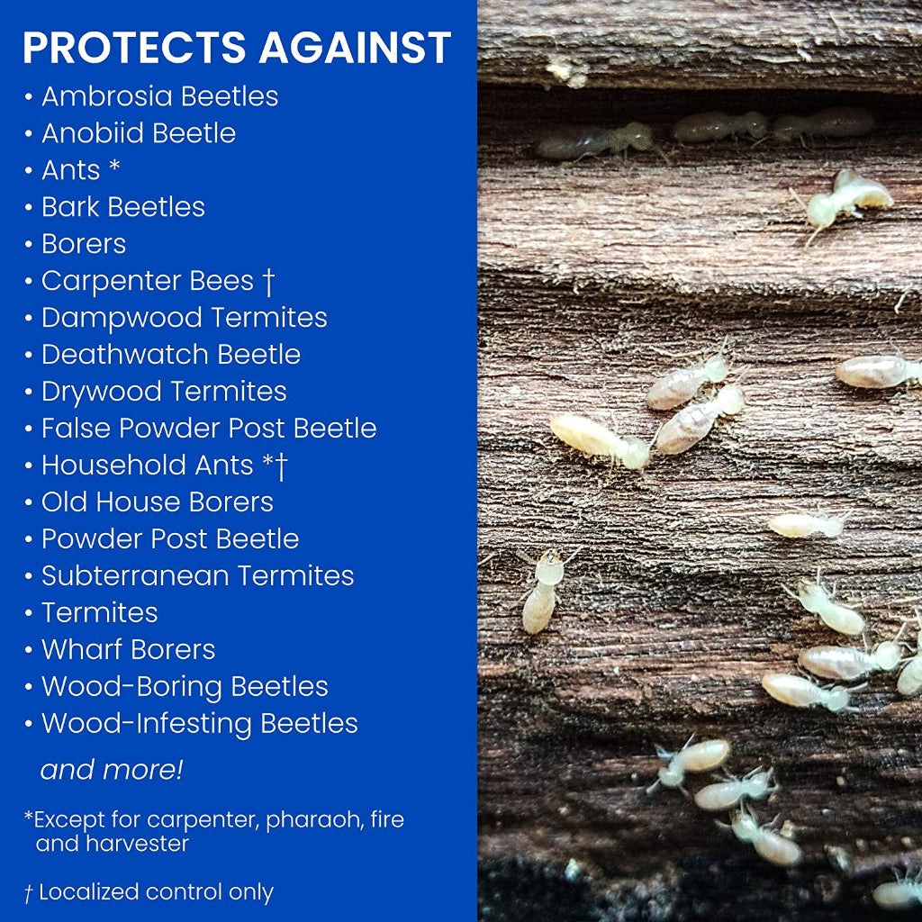 Bioadvanced Termite & Carpenter Bee Killer Plus Foam - 532.3ml