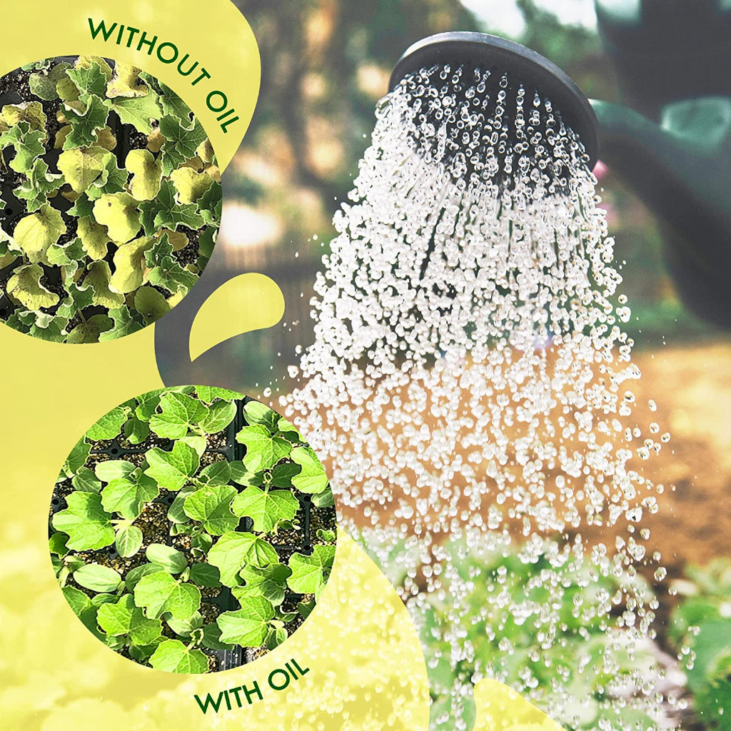 Neem Organics Neem Oil Azadirachtin Indica Seed Oil Spray For Indoor And Outdoor Gardens 16Fl.oz