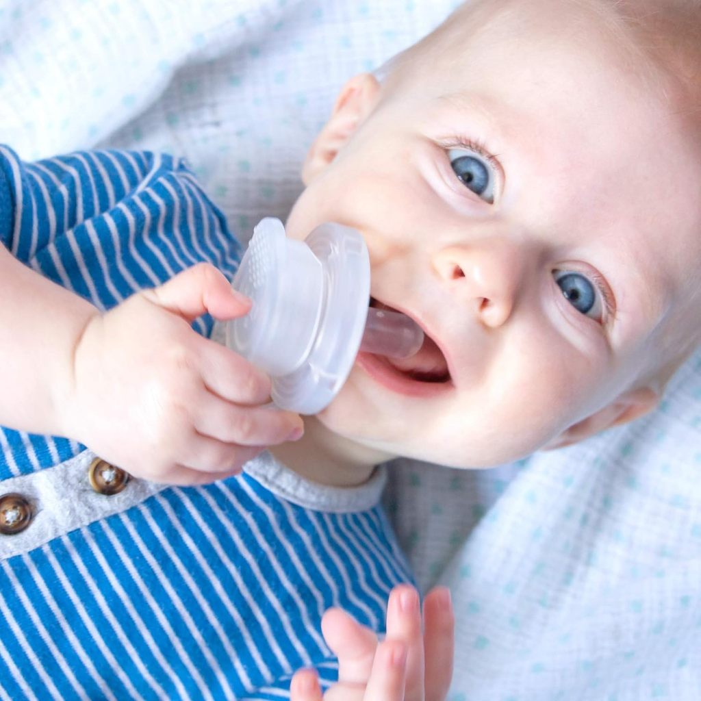 Nippii Baby Freezable Teether Pacifier