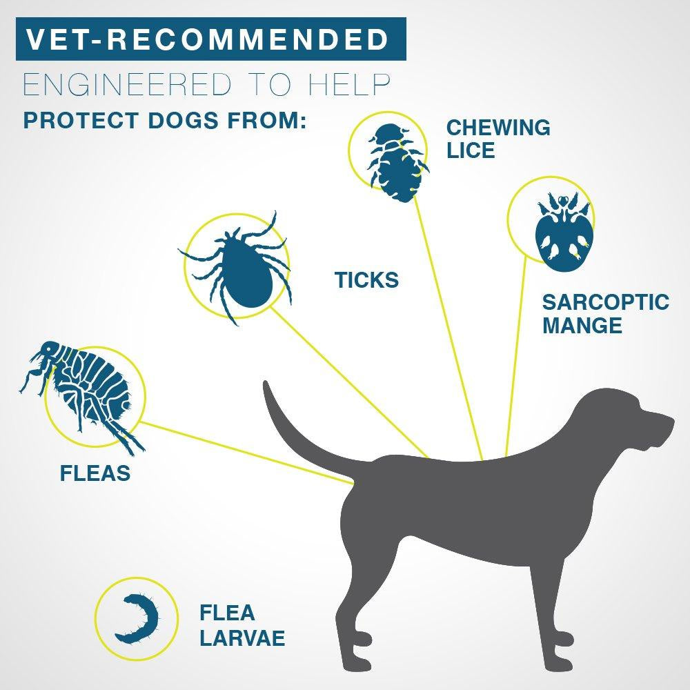 Bayer Animal Health Seresto Flea and Tick Collar for Large Dogs