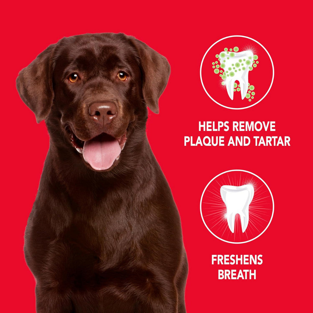 Petrodex Advanced Dental Care Toothpaste for Dogs, Poultry Flavor, 70 g / 2.5 oz.