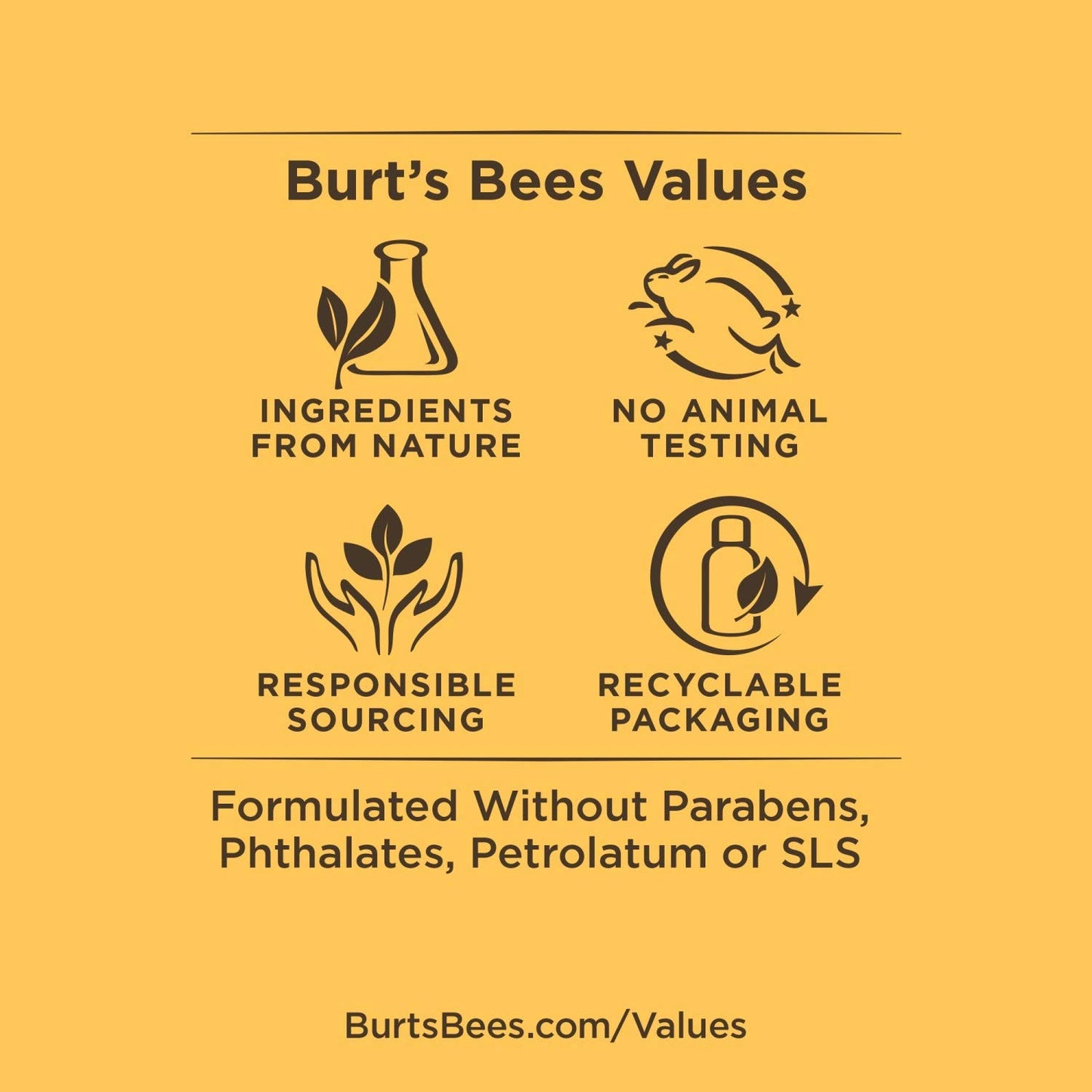 Burt's Bees Timeless Minis Kit Lip Balm Foot Cream Body Lotion Cleansing Cream Ointment Hand Salve