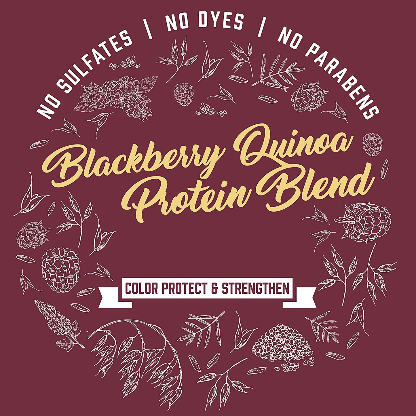 Aveeno Blackberry Quinoa Protein Blend Sulfate-Free Shampoo, 12 fl.oz / 354ml