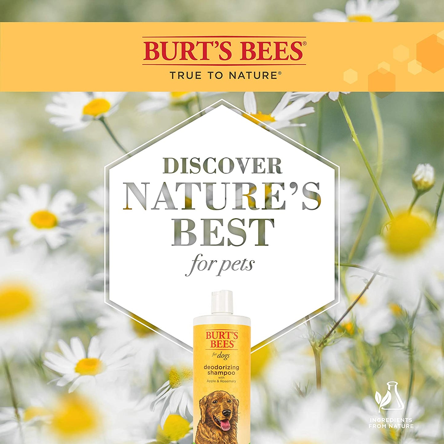 Burt's Bees for Dogs Tear Stain Remover with Chamomile, 4 fl.oz / 118 ml