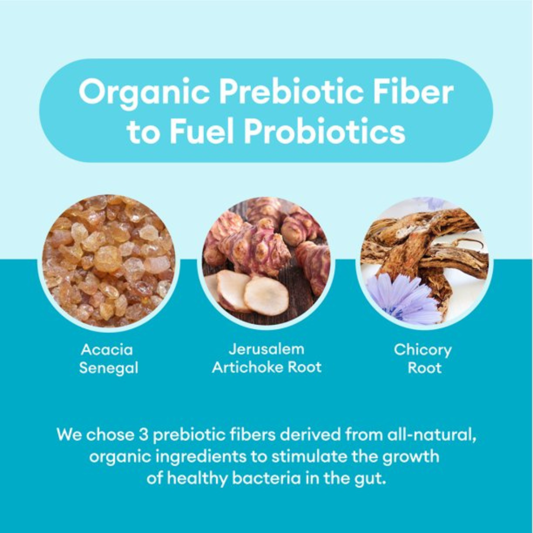 Physician's Choice 60 Billion Probiotic Doctor Approved Formula 60 Delayed - Release Veggie Capsules