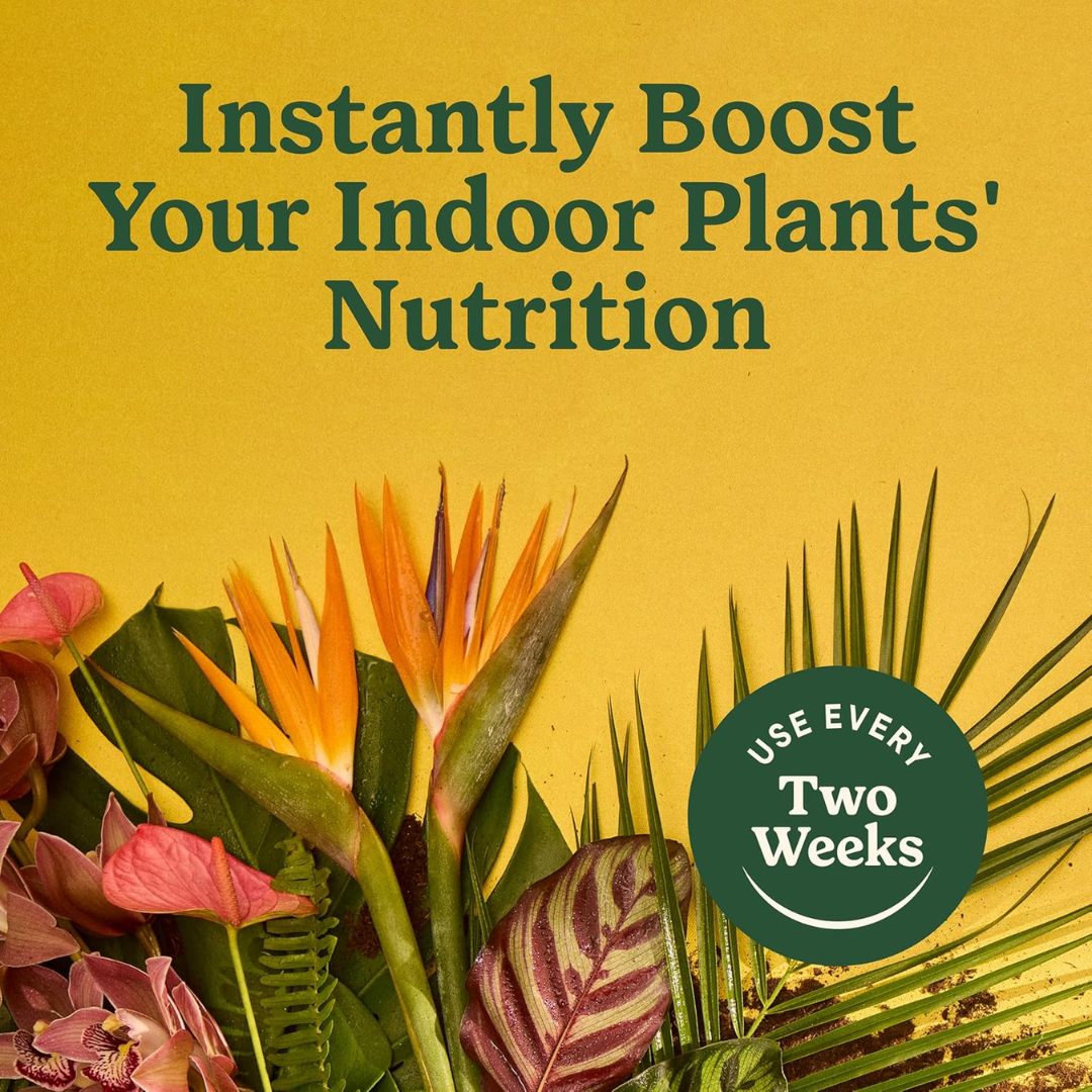 Miracle-Gro Indoor Plant Food for All Plants, 8.4 oz / 240 g