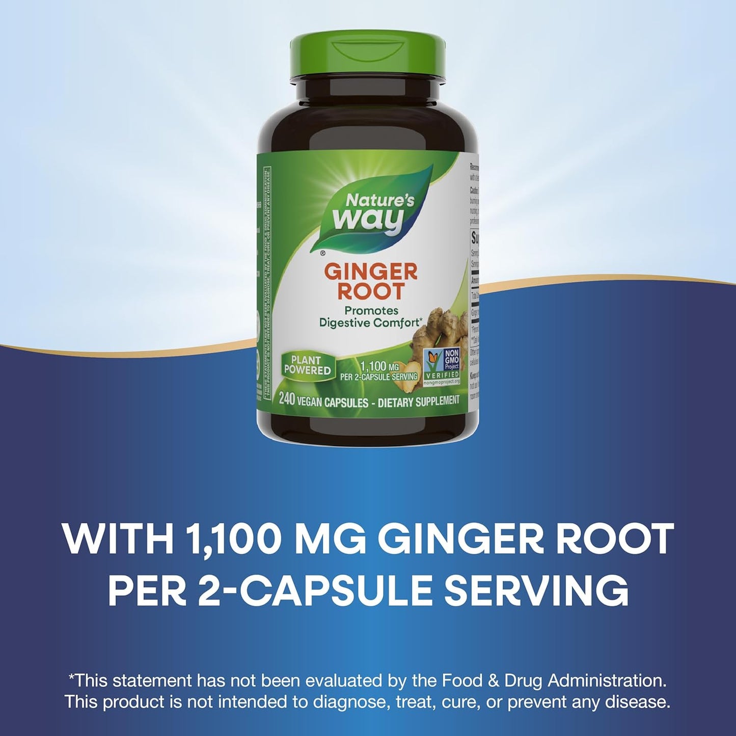 Nature's way Ginger Root for Digestive Comfort 1100mg Supplement 240 Vegan Capsules
